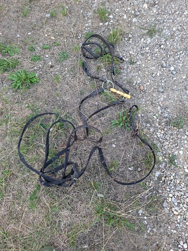 Antikes altes pferdegeschirr - antikes,
