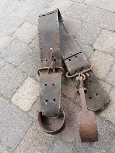 Altes pferde geschirr - pferde, ochsen